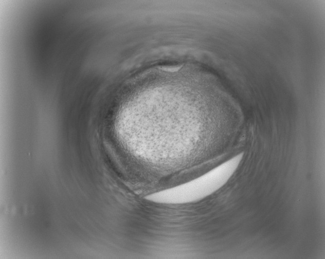 X0000068281489200605051828