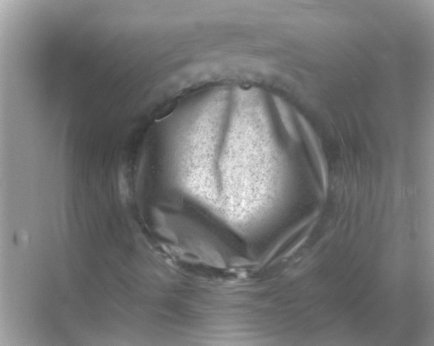 X0000068281490200605051828