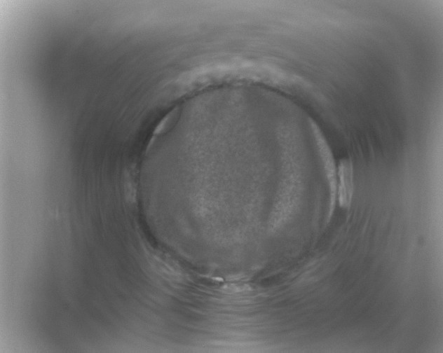 X0000068281491200605051828