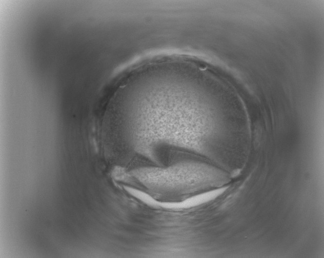 X0000068281494200605051828