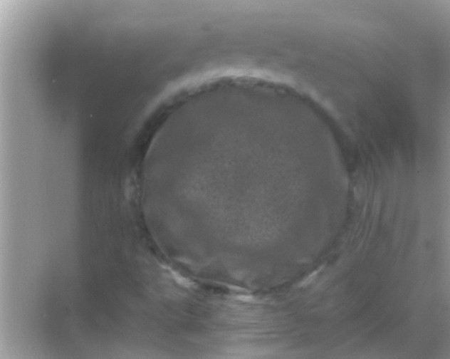 X0000068281495200605051828