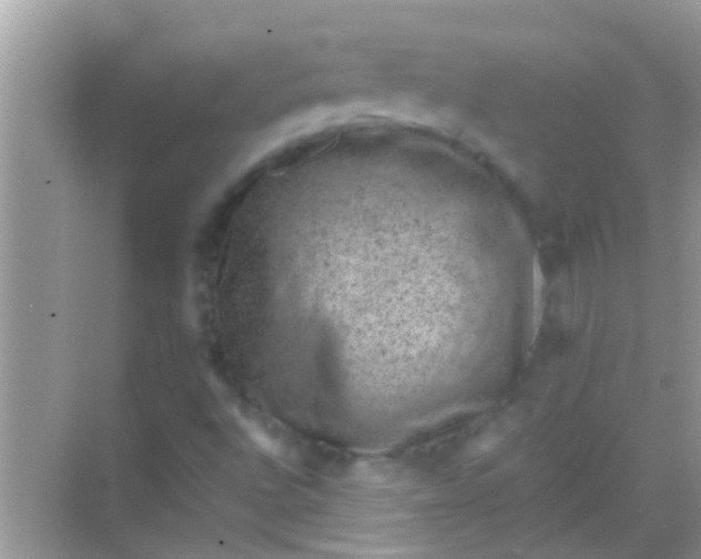 X0000068281496200605051828