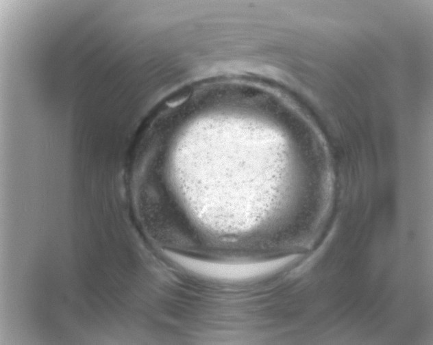 X0000068281497200605051828