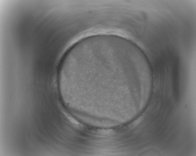 X0000068281498200605051828