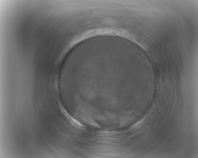 X0000068281499200605051828