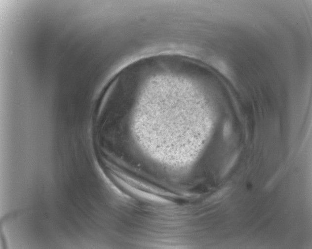 X0000068281500200605051828