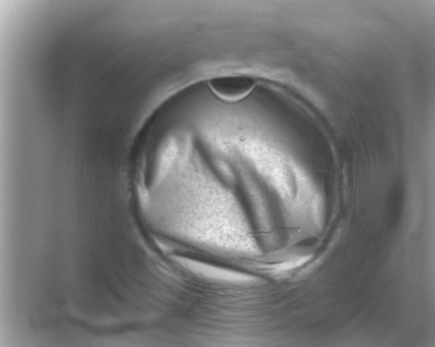 X0000068281501200605051828