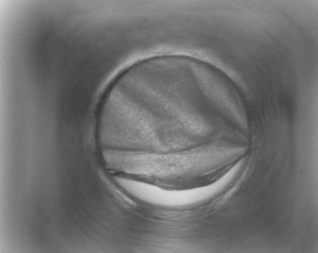 X0000068281502200605051828