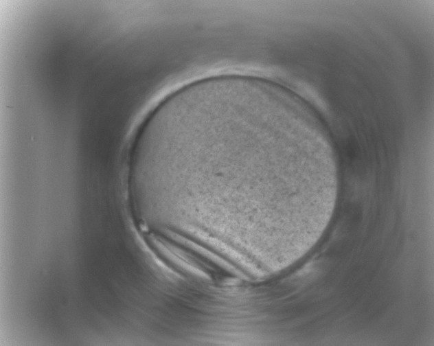 X0000068281504200605051828