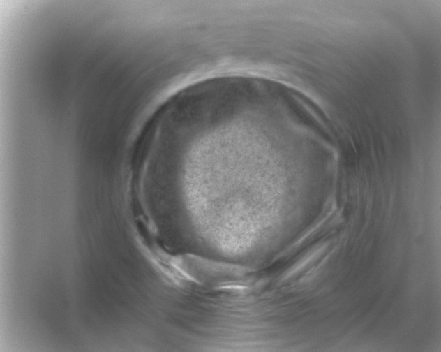 X0000068281507200605051828