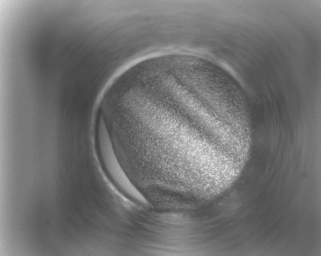 X0000068281508200605051828