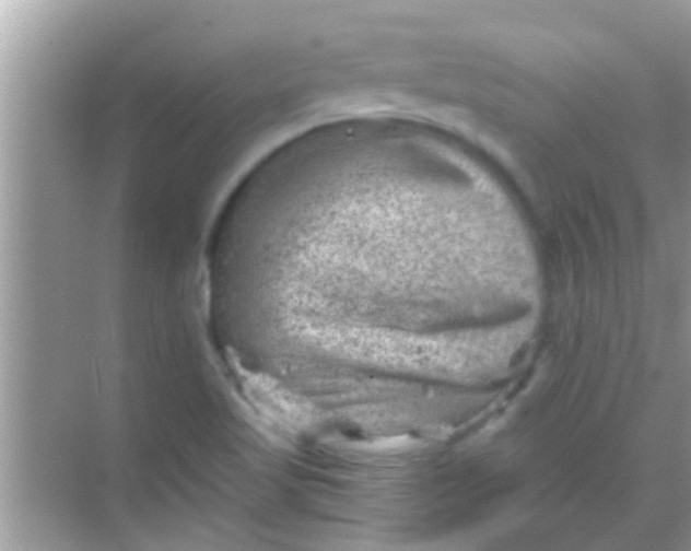 X0000068281509200605051828