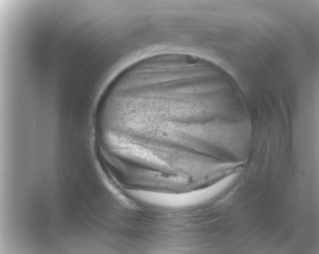 X0000068281511200605051828