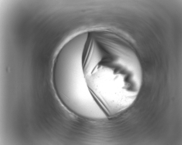 X0000068281512200605051828