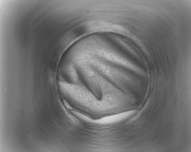 X0000068281513200605051828