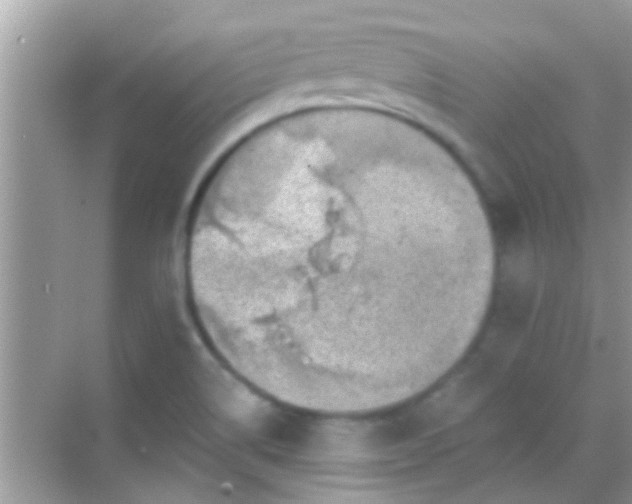 X0000068281514200605051828