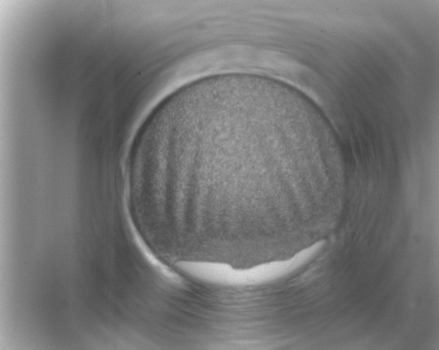 X0000068281515200605051828