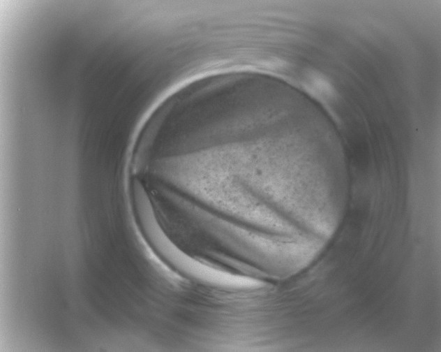 X0000068281516200605051828