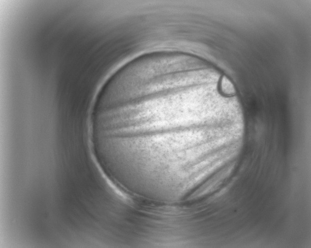 X0000068281517200605051828