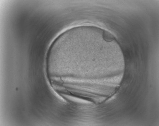 X0000068281518200605051828