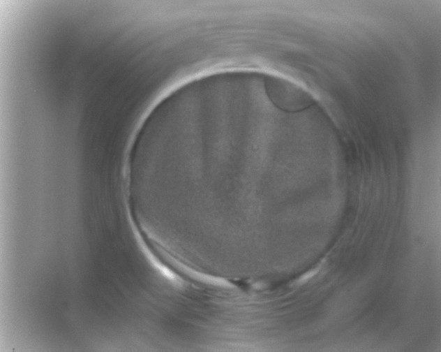 X0000068281519200605051828