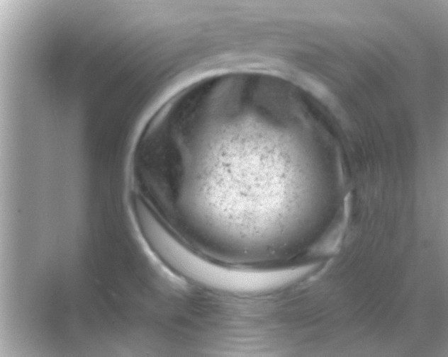 X0000068281520200605051828