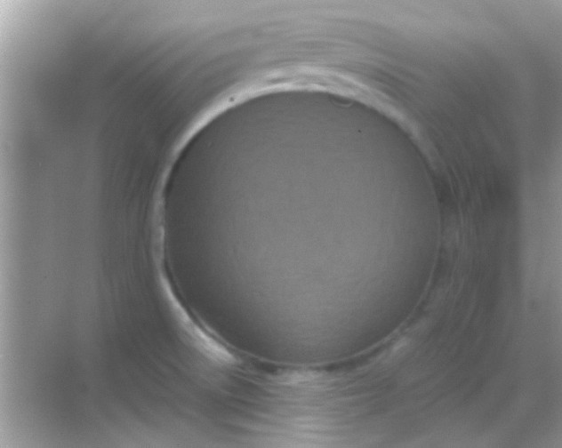 X0000068281522200605051828