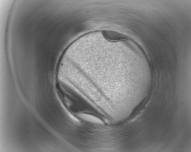 X0000068281525200605051828