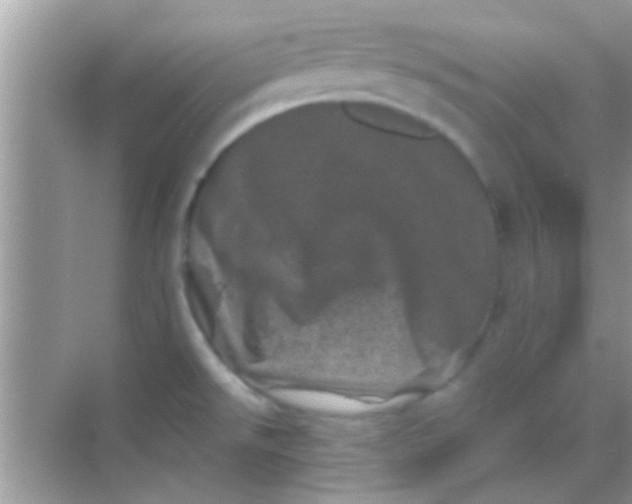 X0000068281526200605051828