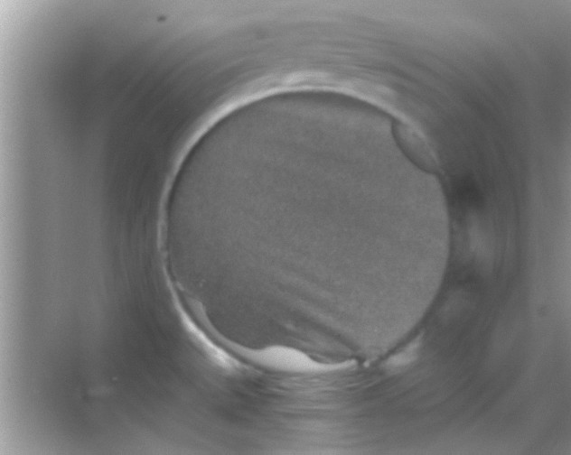 X0000068281527200605051828