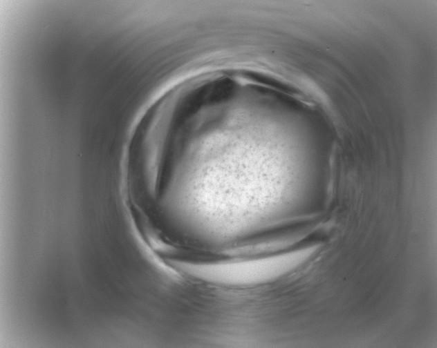 X0000068281528200605051828