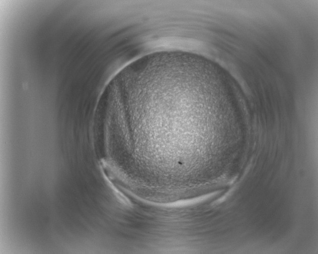 X0000068281529200605051828