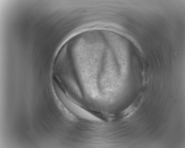 X0000068281530200605051828