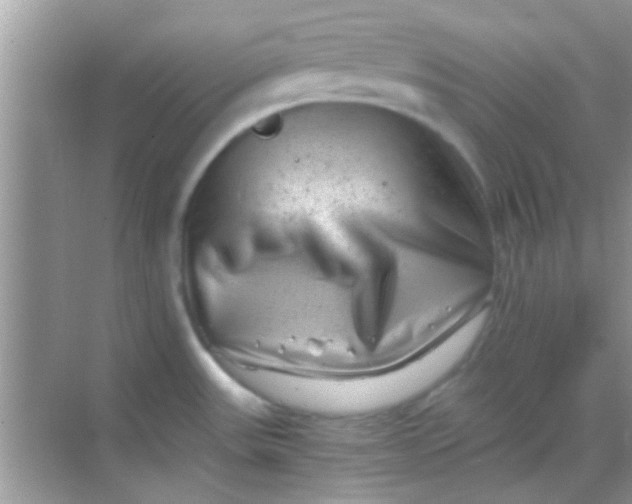 X0000068281531200605051828