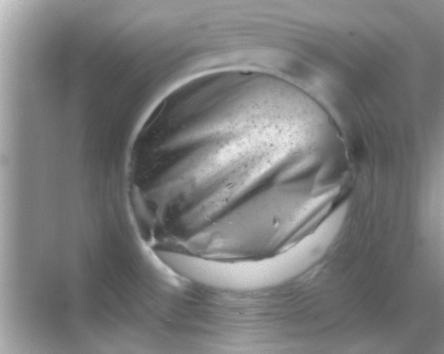 X0000068281532200605051828