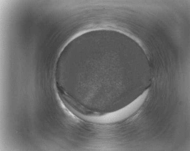 X0000068281534200605051828