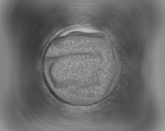 X0000068280002200605121924