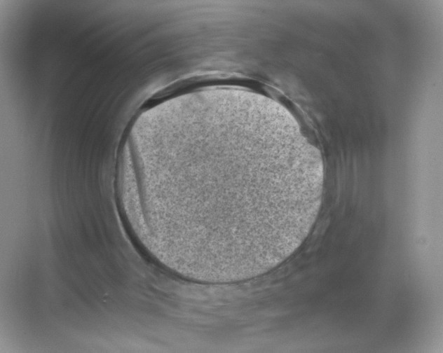 X0000068280003200605121924