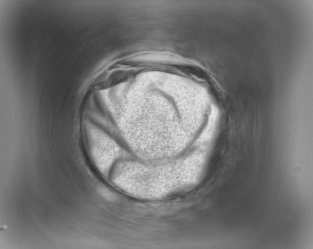 X0000068280005200605121924