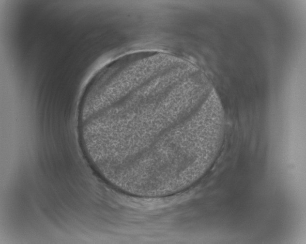 X0000068280006200605121924