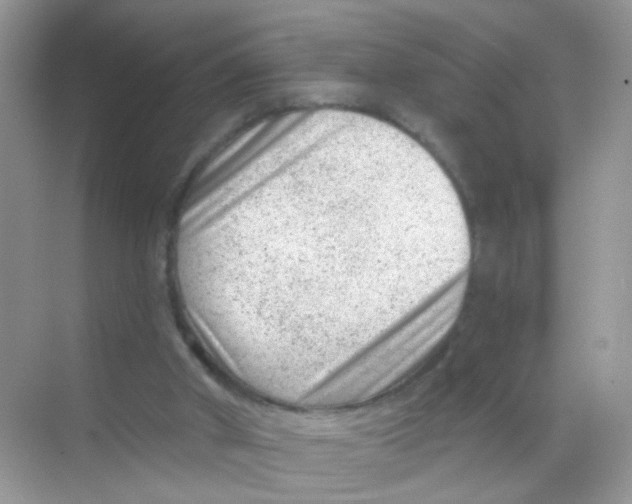 X0000068280010200605121924