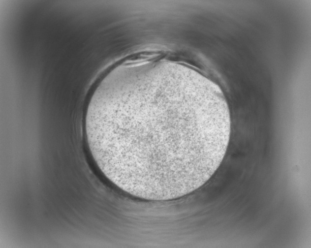 X0000068280011200605121924