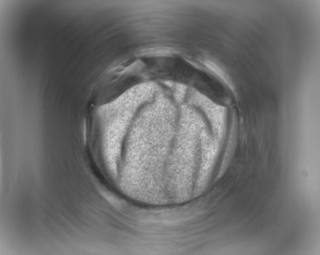 X0000068280013200605121924