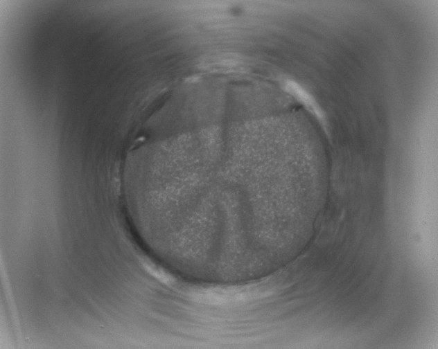 X0000068280017200605121924