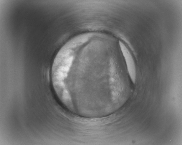 X0000068280019200605121924