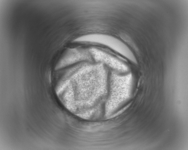 X0000068280021200605121924