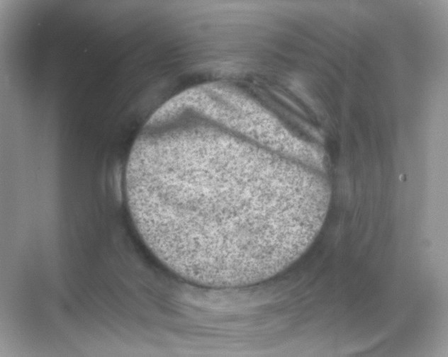 X0000068280022200605121924