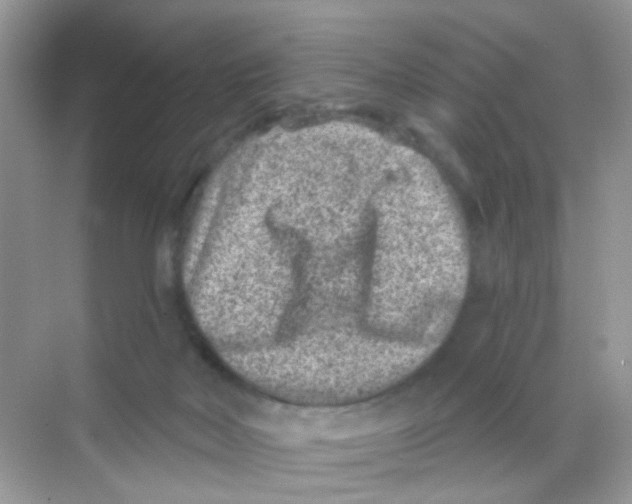 X0000068280026200605121924