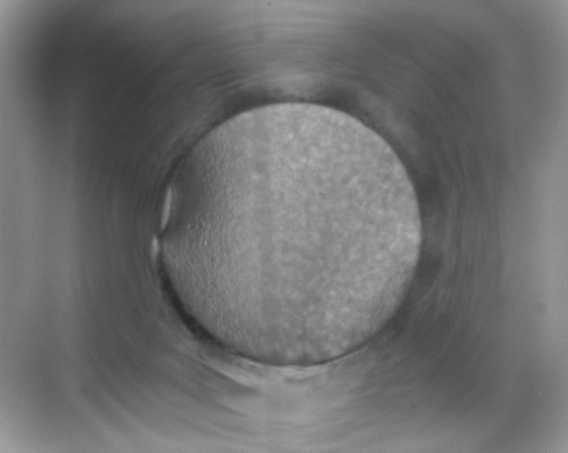 X0000068280027200605121924