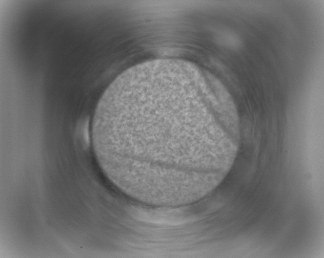 X0000068280028200605121924